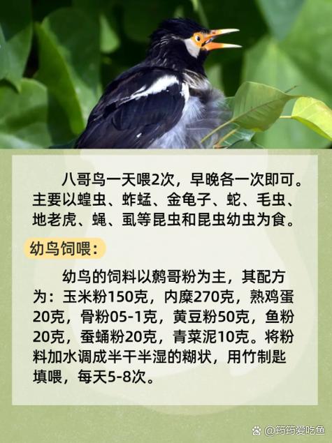 激情影院久久久的相关介绍