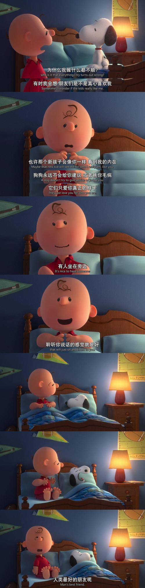 老师操我大逼的相关介绍