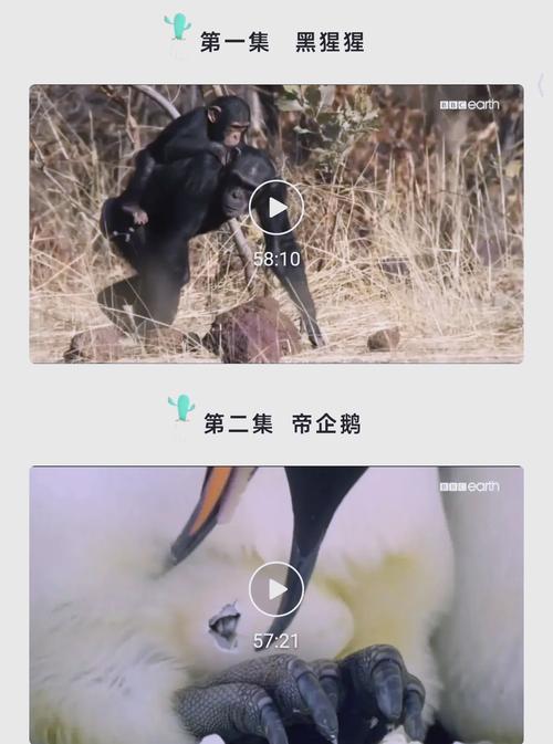 91大神操人妻的相关介绍