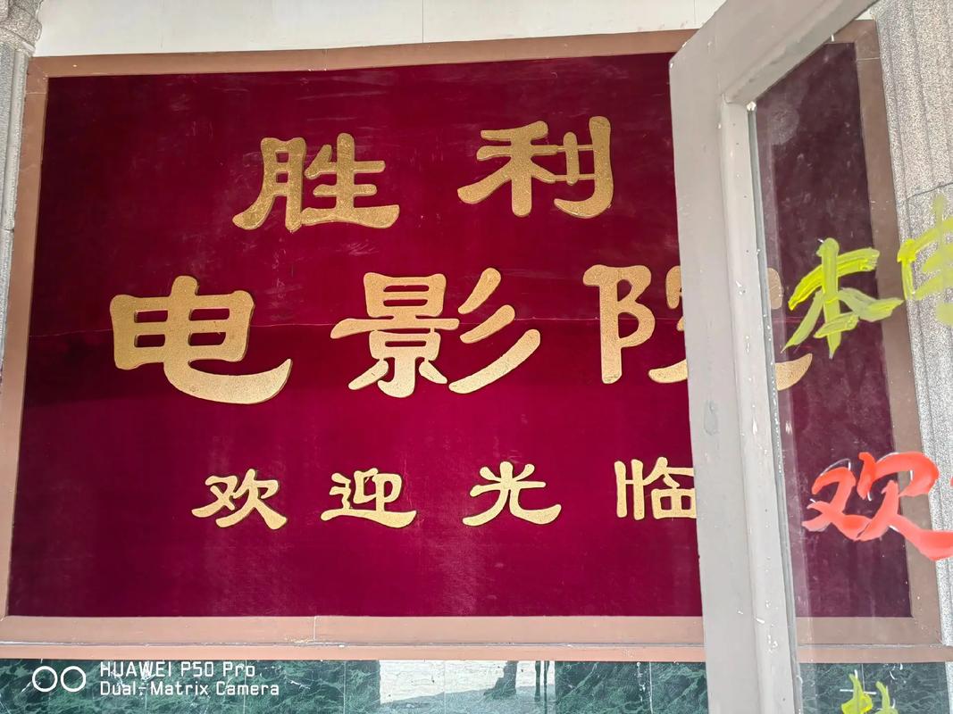 老湿影院费x的相关介绍