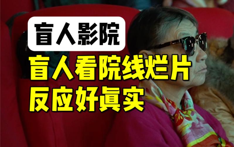 新视觉影院手机版的相关介绍
