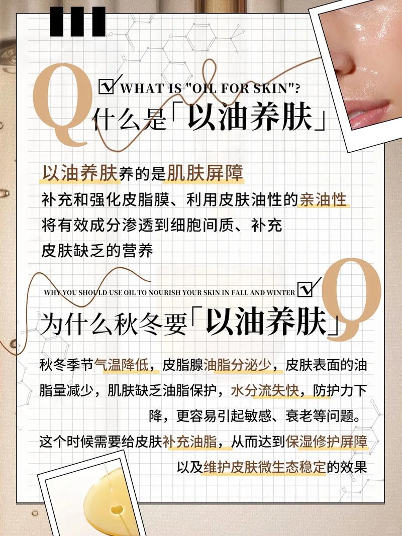 丁香影院的相关介绍