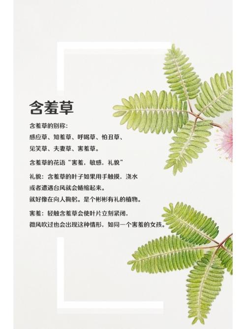 夜夜看片在线影院的相关介绍