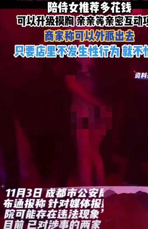 久久精品少妇av的相关介绍