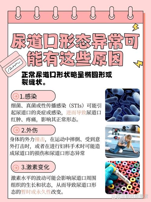 国产裸体按摩精品的相关介绍