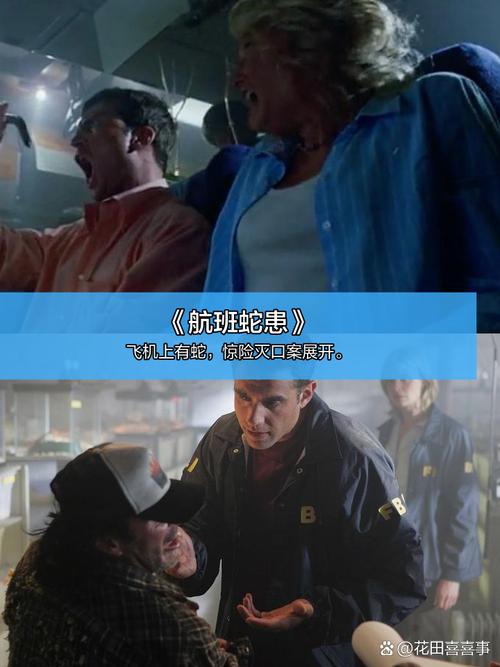 月夜影院的相关介绍