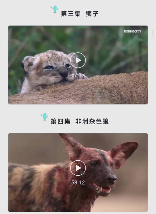 人妻啪啪啪3的相关介绍