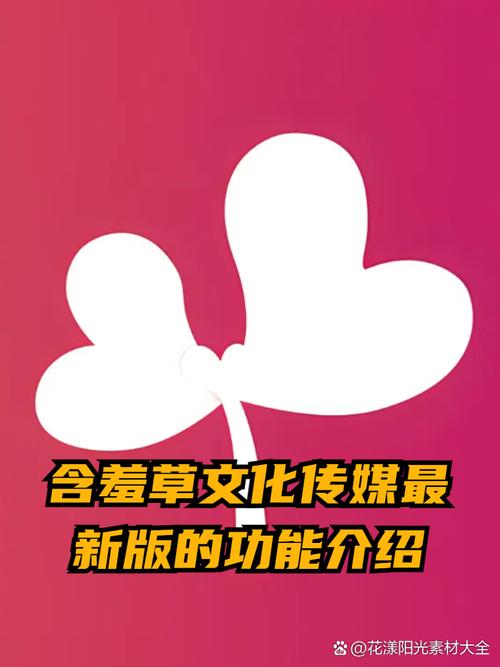 国产女人在线免费看的相关介绍