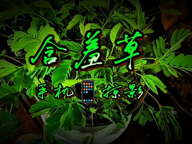 成人色情影院的相关介绍