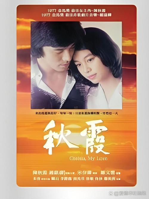 羞答答的玫瑰影院的相关介绍