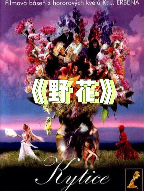 动漫男女黄的相关介绍