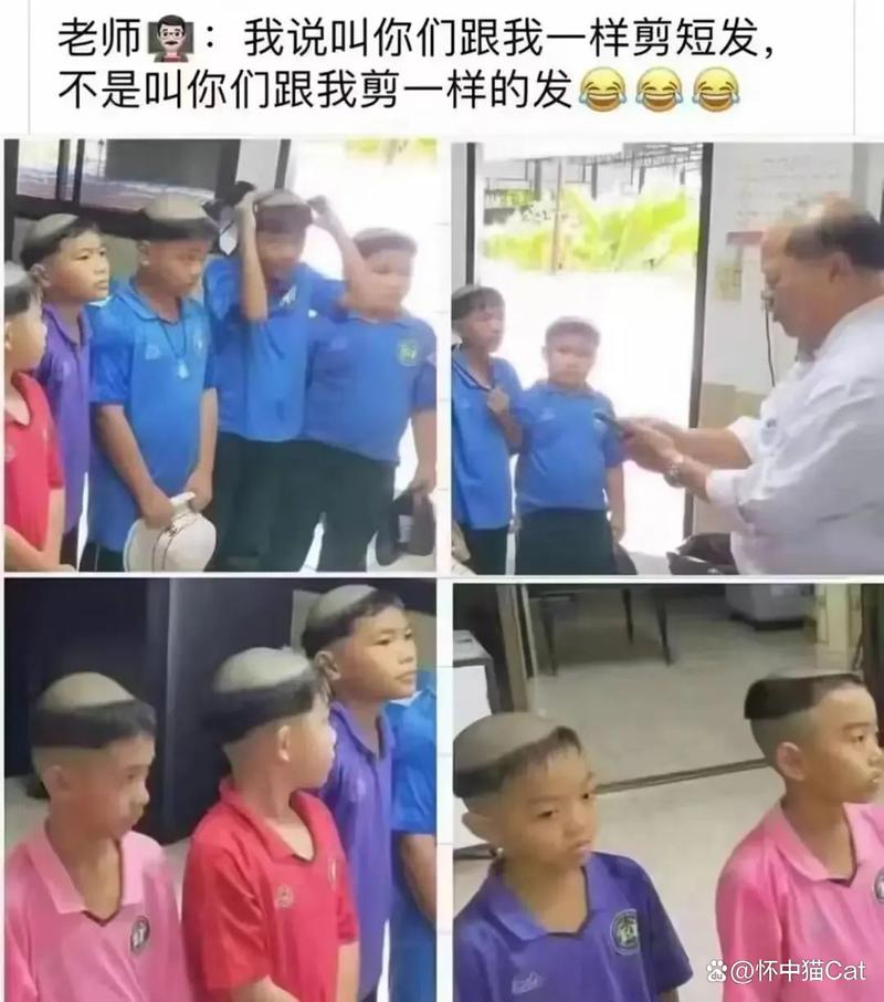 意大利 av的相关介绍