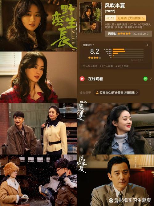 女黄色录像,特级黄色录像的相关介绍
