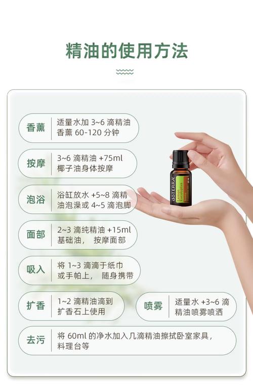 蝴蝶影院的相关介绍