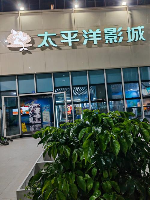 操的白浆的相关介绍