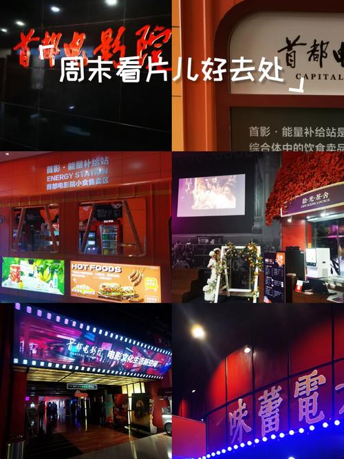 pp一点通毛片的相关介绍