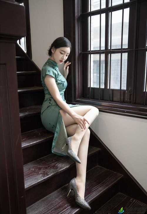 6090青苹果手机影院手机版的相关介绍