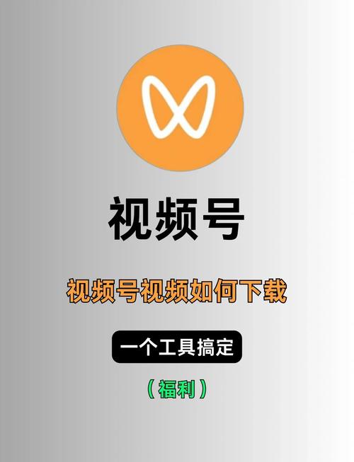 4k影院的相关介绍
