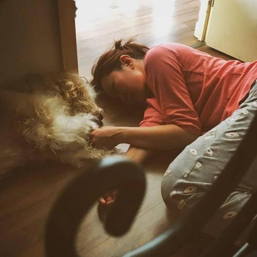 天美传媒麻豆91的相关介绍