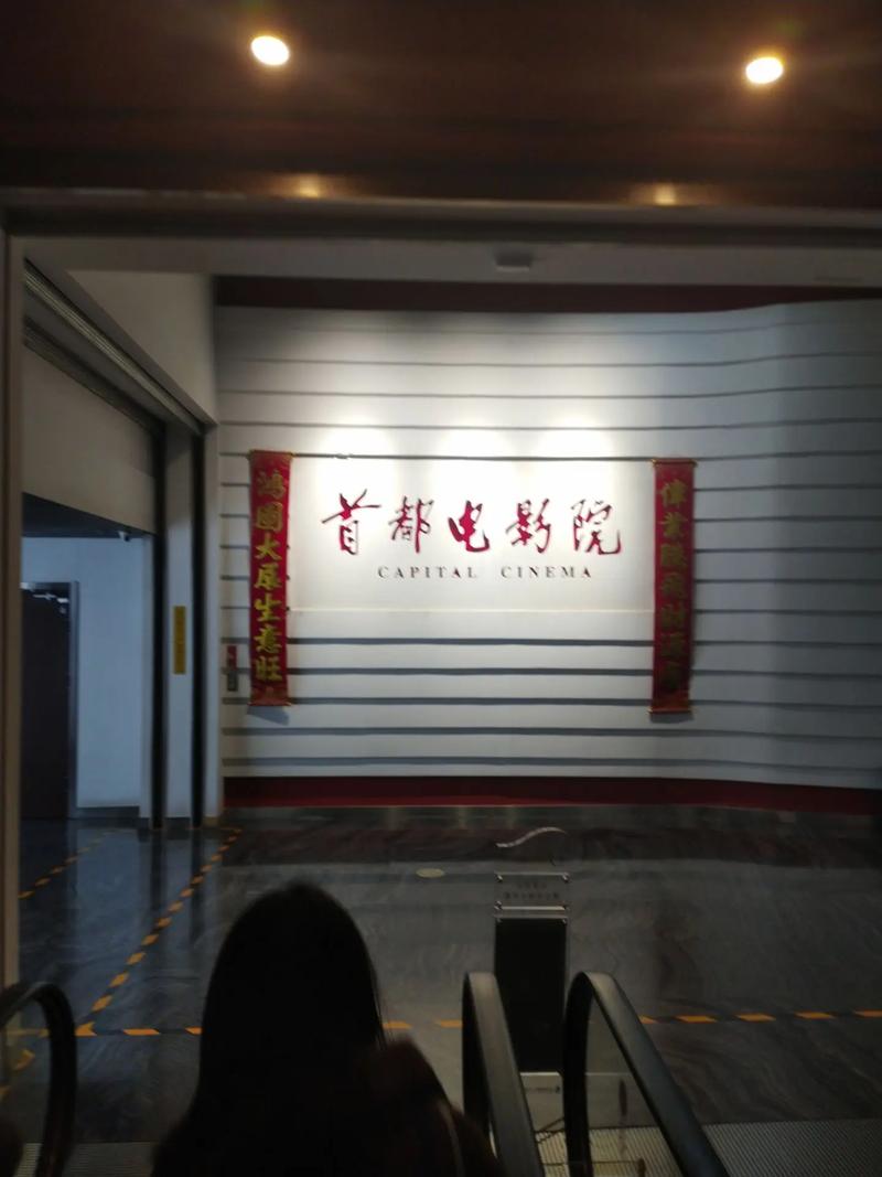 成人影院网站的相关介绍