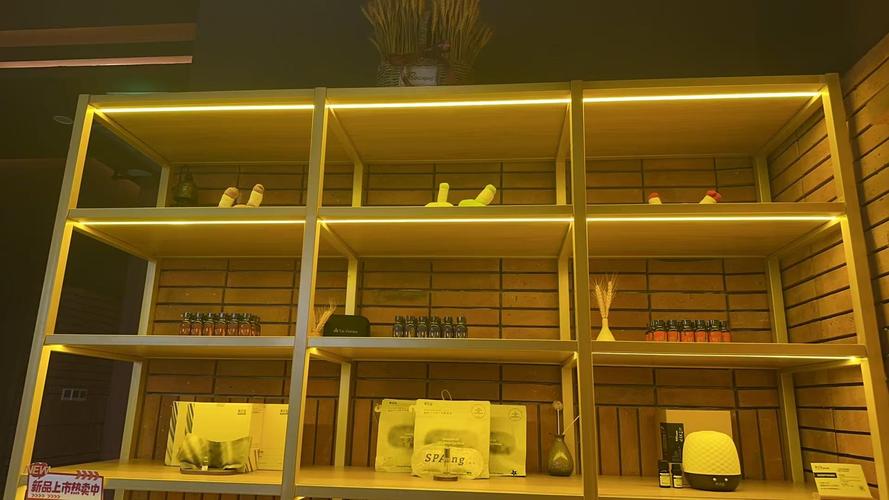 美女美乳插插毛片av的相关介绍