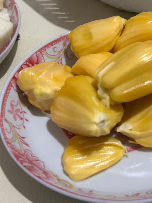 飘花电影院午夜伦的相关介绍