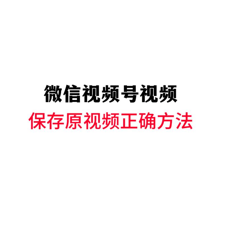 老湿影院费x的相关介绍