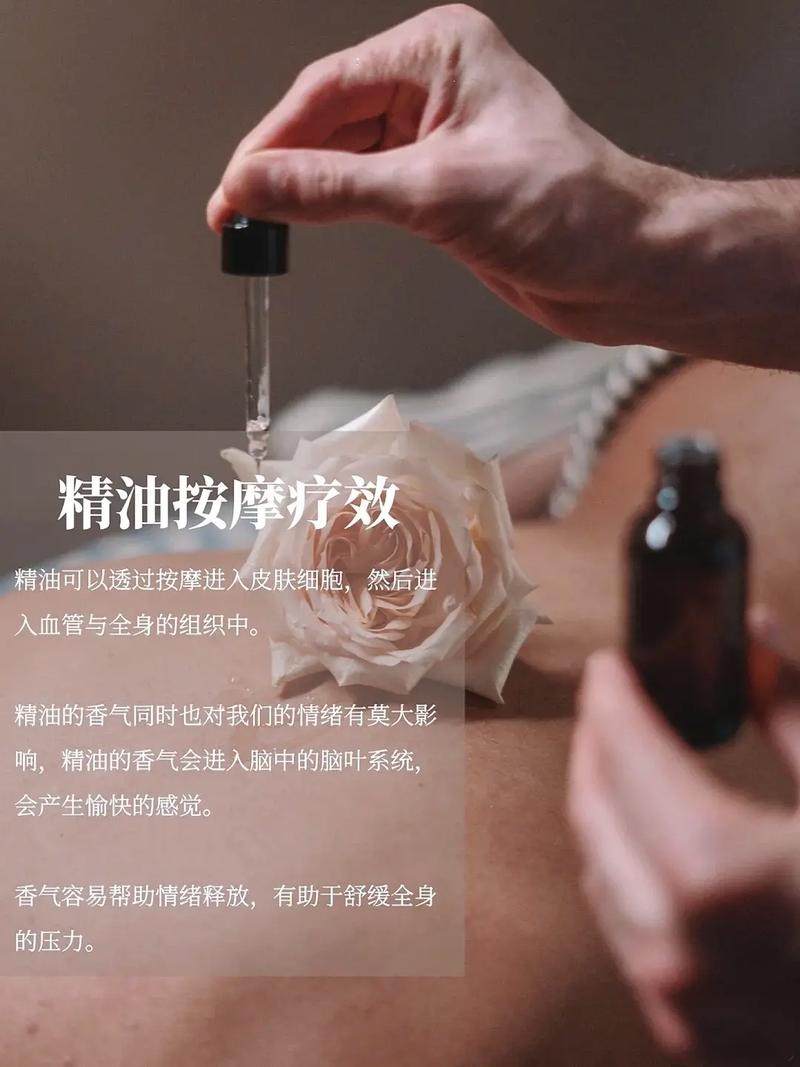 操小逼白浆的相关介绍