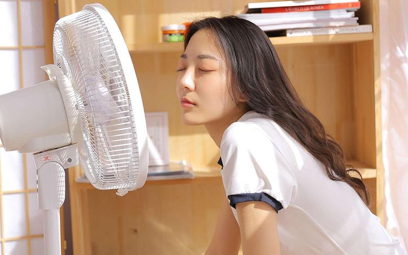 老司机电影院的相关介绍