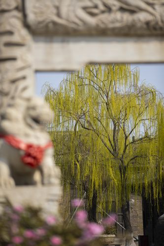 免费的熟女黄色2级片的相关介绍