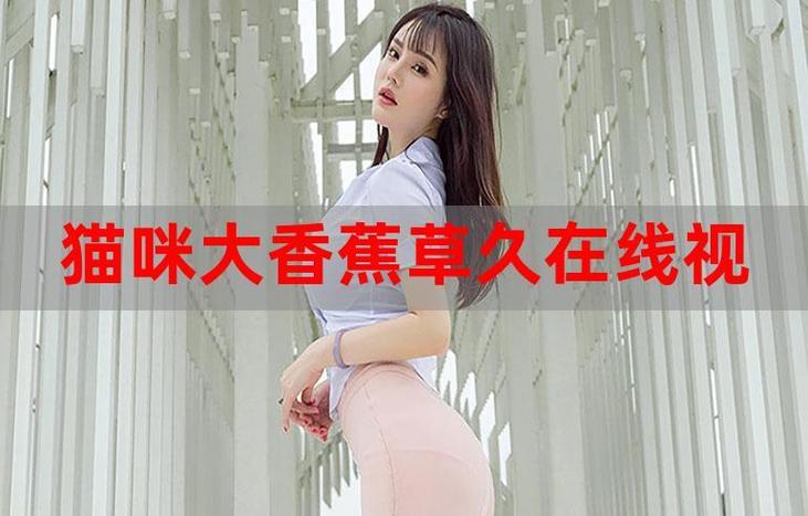 国模大尺度写真照的相关介绍