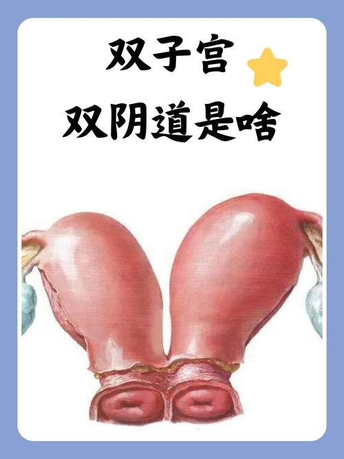 新视影院的相关介绍