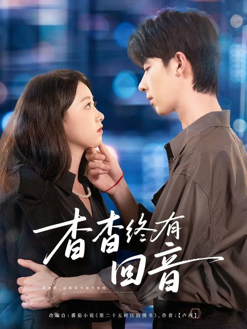 中卫电影院的相关介绍