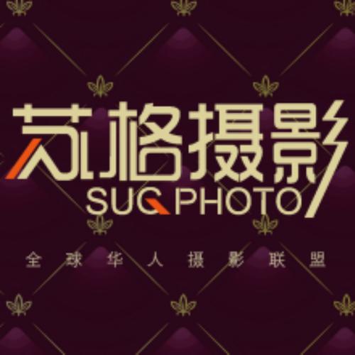 电影院排片的相关介绍
