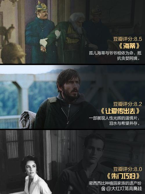 久久久国产激情视频的相关介绍