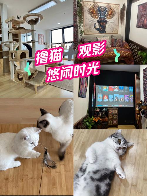 日韩久久激情的相关介绍