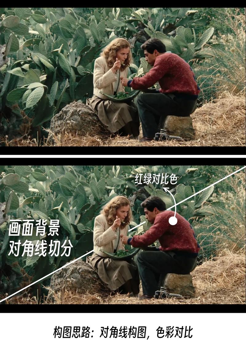 黄片a久久久的相关介绍