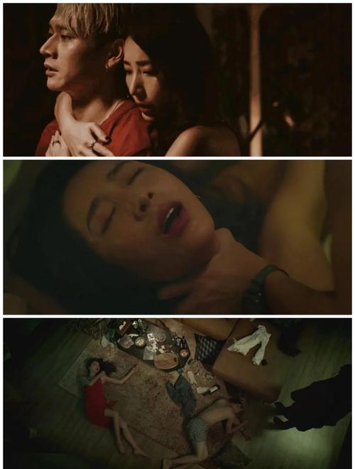 6080新视觉青苹果影院的相关介绍