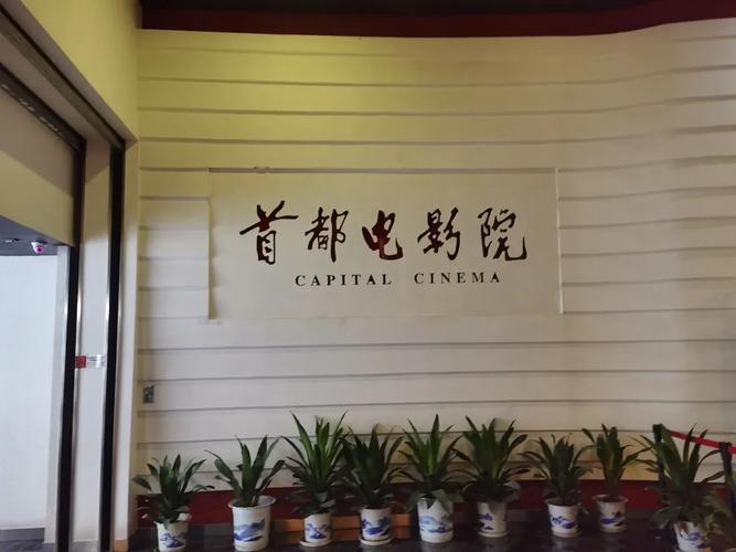 蜜桃影院下载的相关介绍
