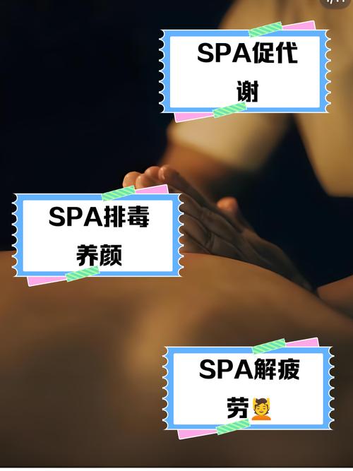 九八零影院全网的相关介绍