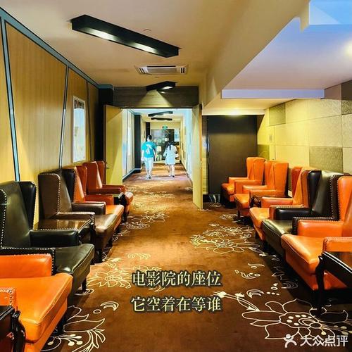 午夜寂寞影院支持安卓手机的相关介绍