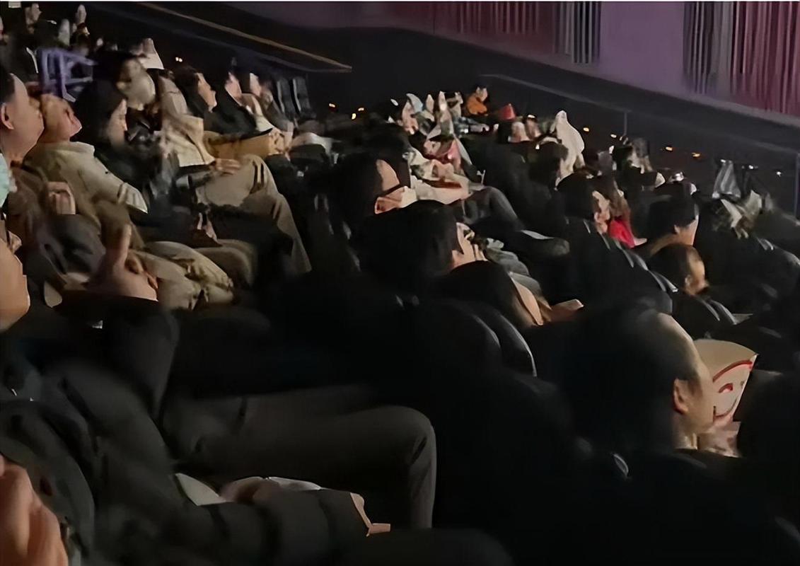 不卡手机毛片的相关介绍