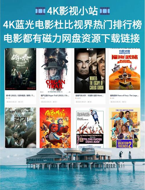 国产乱色精品的相关介绍