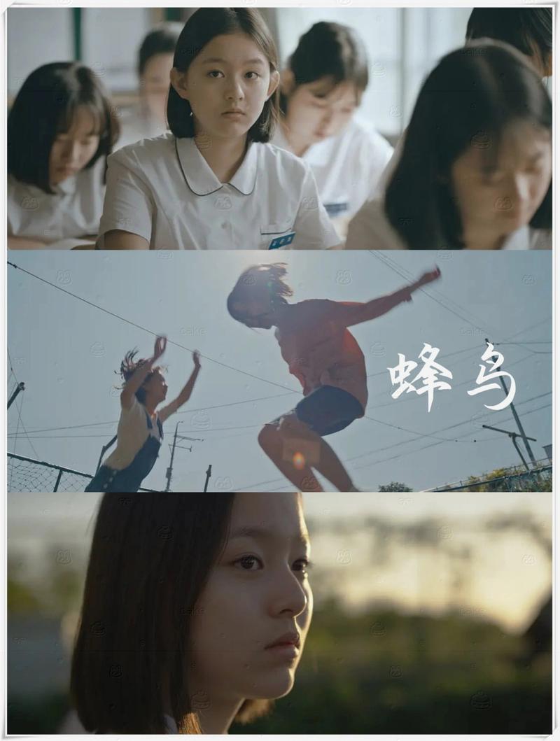 老司机影院普通区试看片的相关介绍