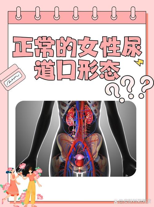 美女老师和的相关介绍