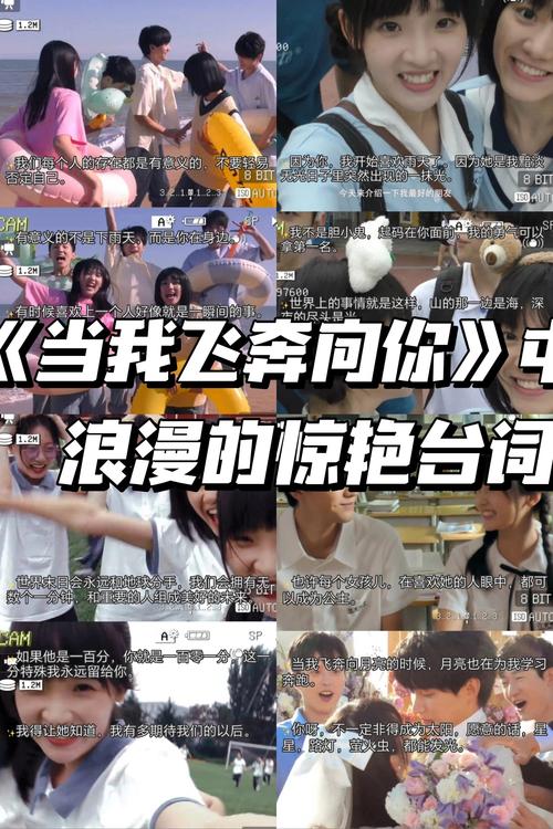 91av黑丝在线播放的相关介绍